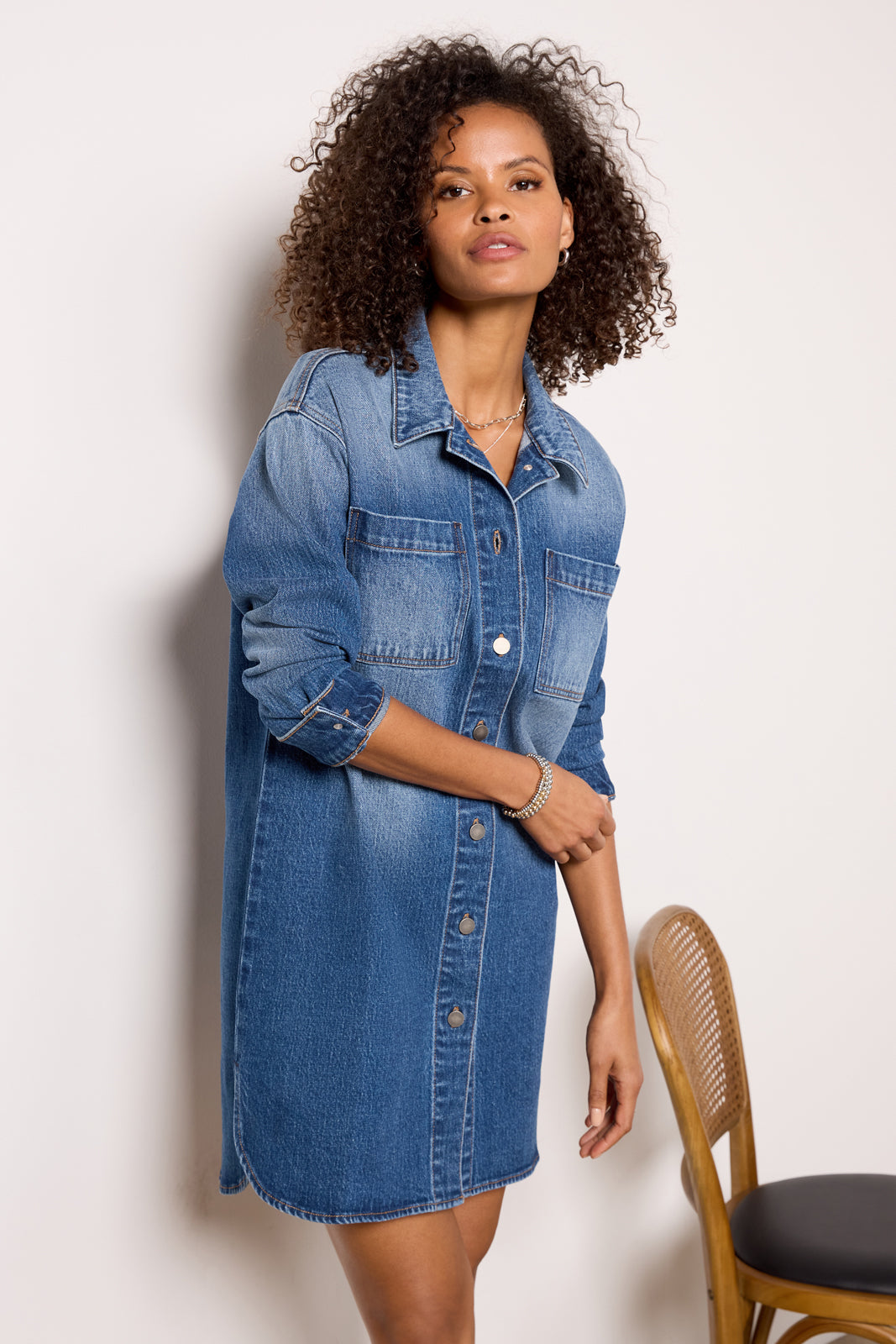 Ever Denim Dress