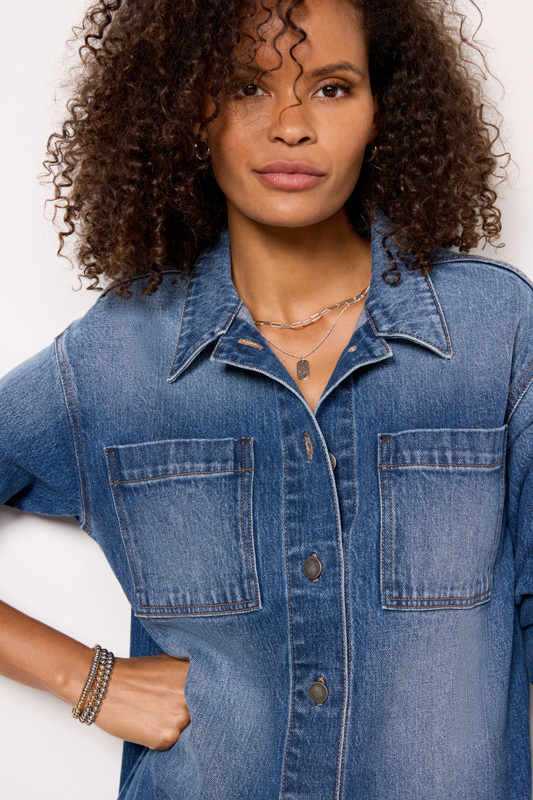 Ever Denim Dress