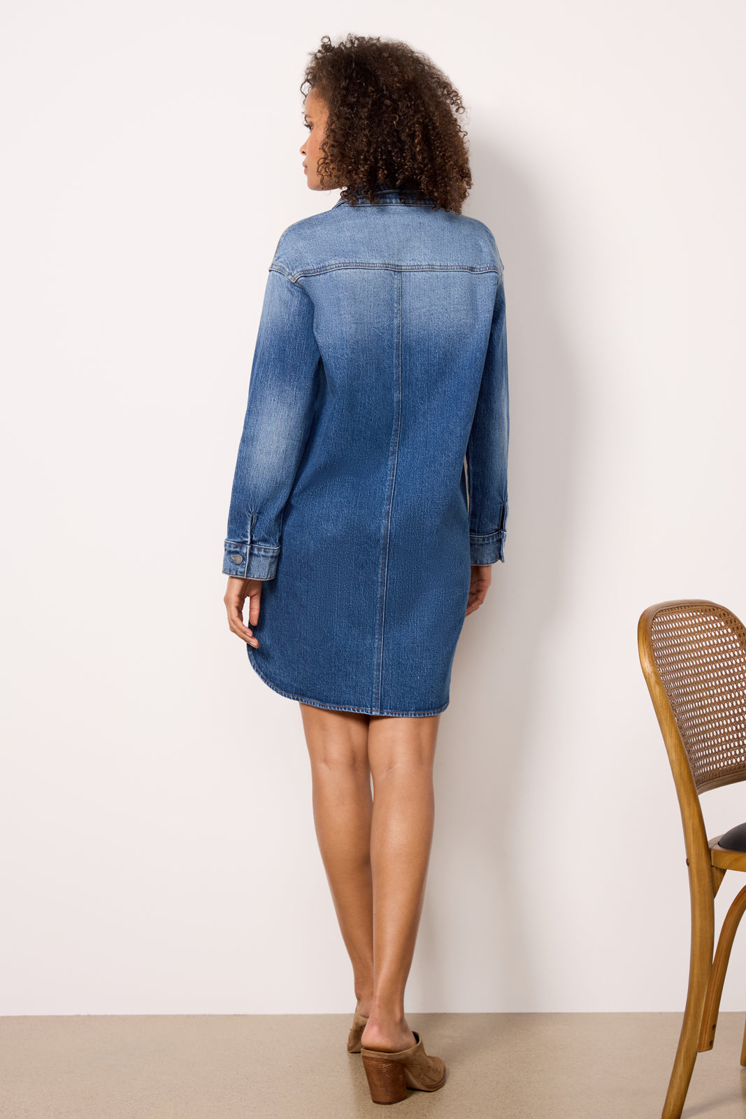 Ever Denim Dress