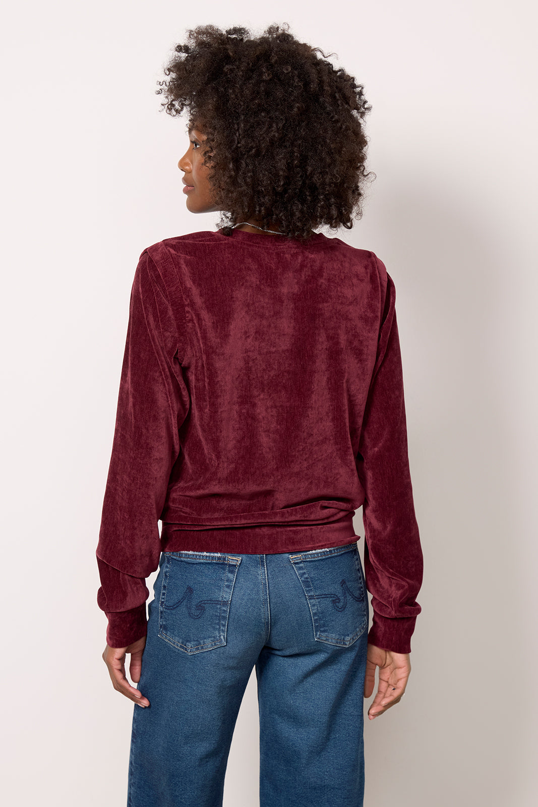 Holly Velour Pleated Pullover