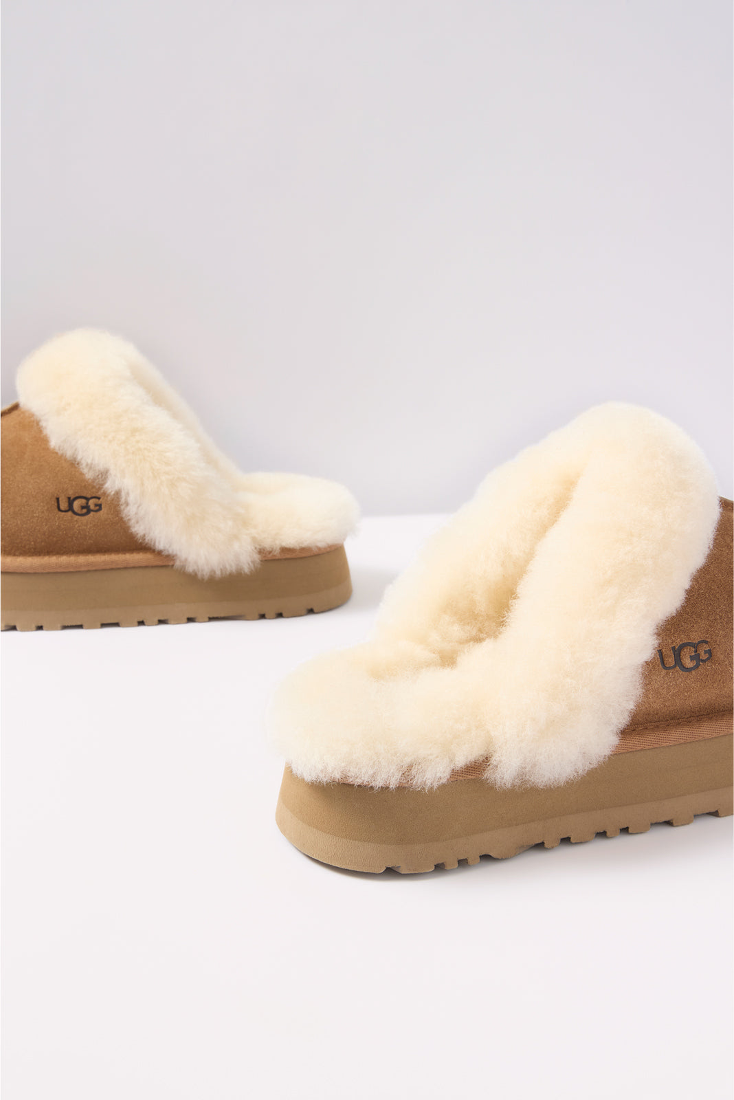 Disquette Slipper