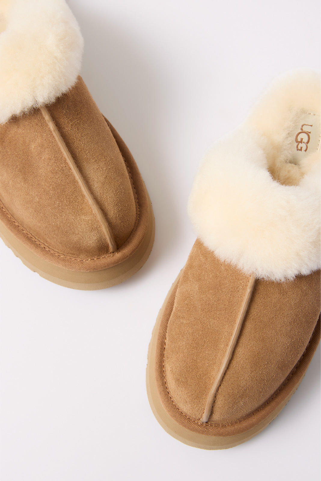 Disquette Slipper