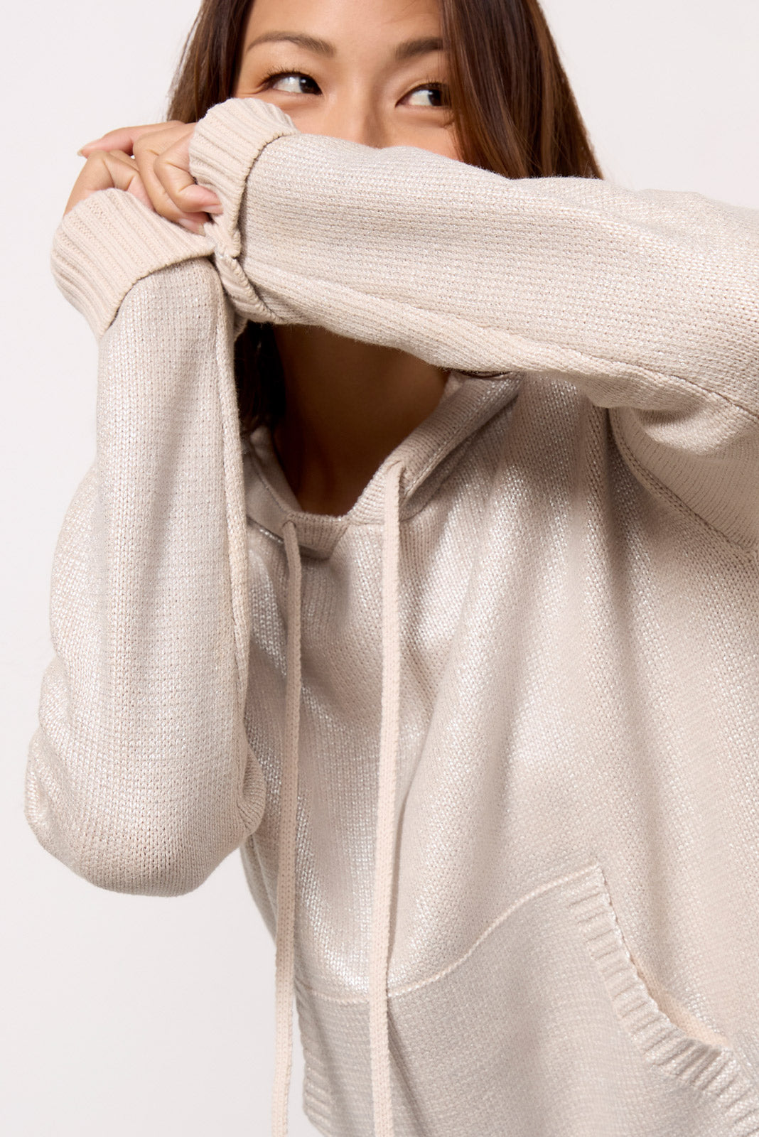 Aspen Metallic Hoodie